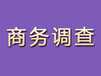 盱眙商务调查